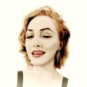 Meet your Posher, Ani